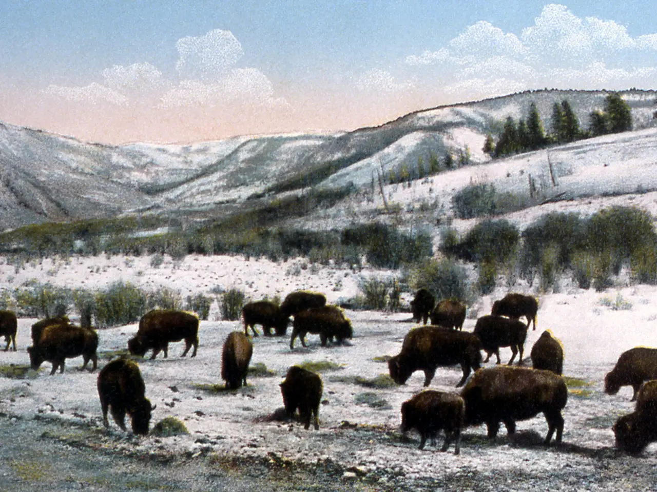 Available for Unpaid Photography Role in Secret Event Reserve