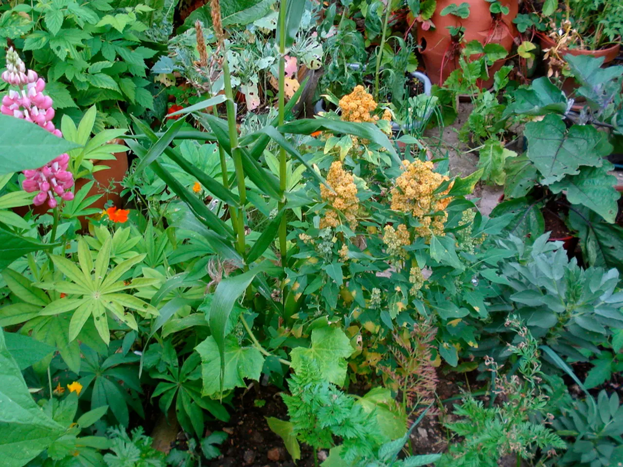 Managing Garden Pesky Plants: A Guide