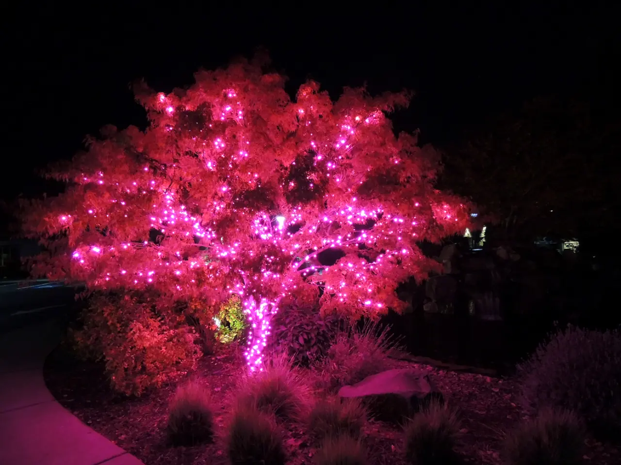 Guide to Creating an Awe-Inspiring Garden After Dusk (Hint: It's More Than Just Solar Spikes)