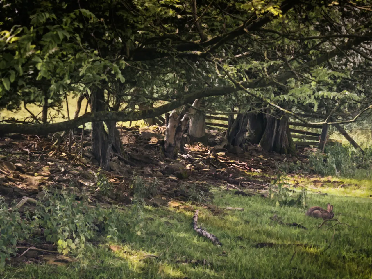 Unsung Heroes in Landscaping: 11 Flora Picks Thriving in Barren, Arid, and Shaded Locations,...