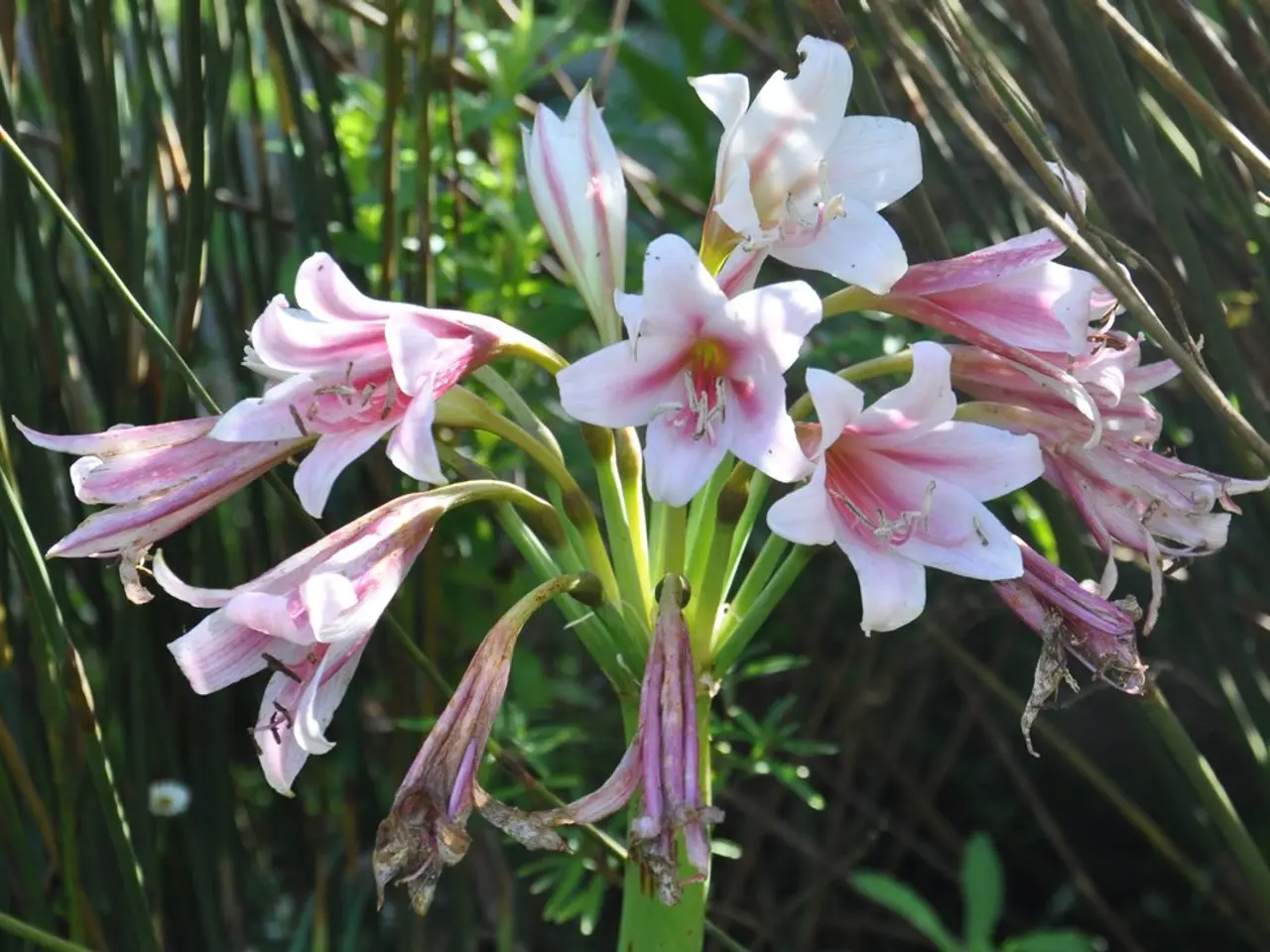 Expert Opinions on the Factors that Trigger Our Attraction Towards Specific Colors