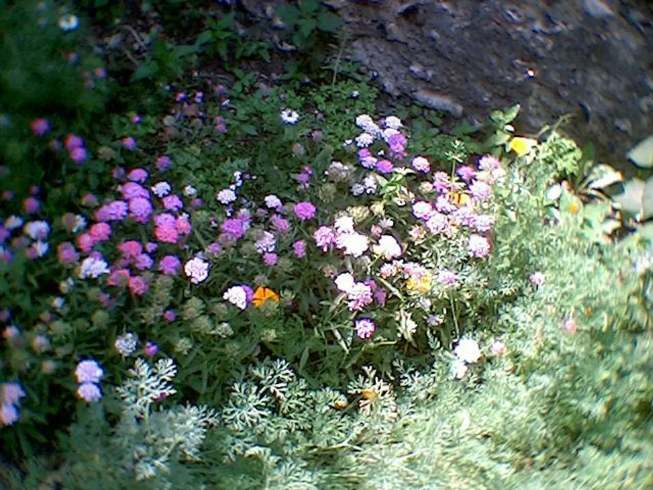 Transform your garden into a captivating haven of the cottagecore style with these nine enchanting...