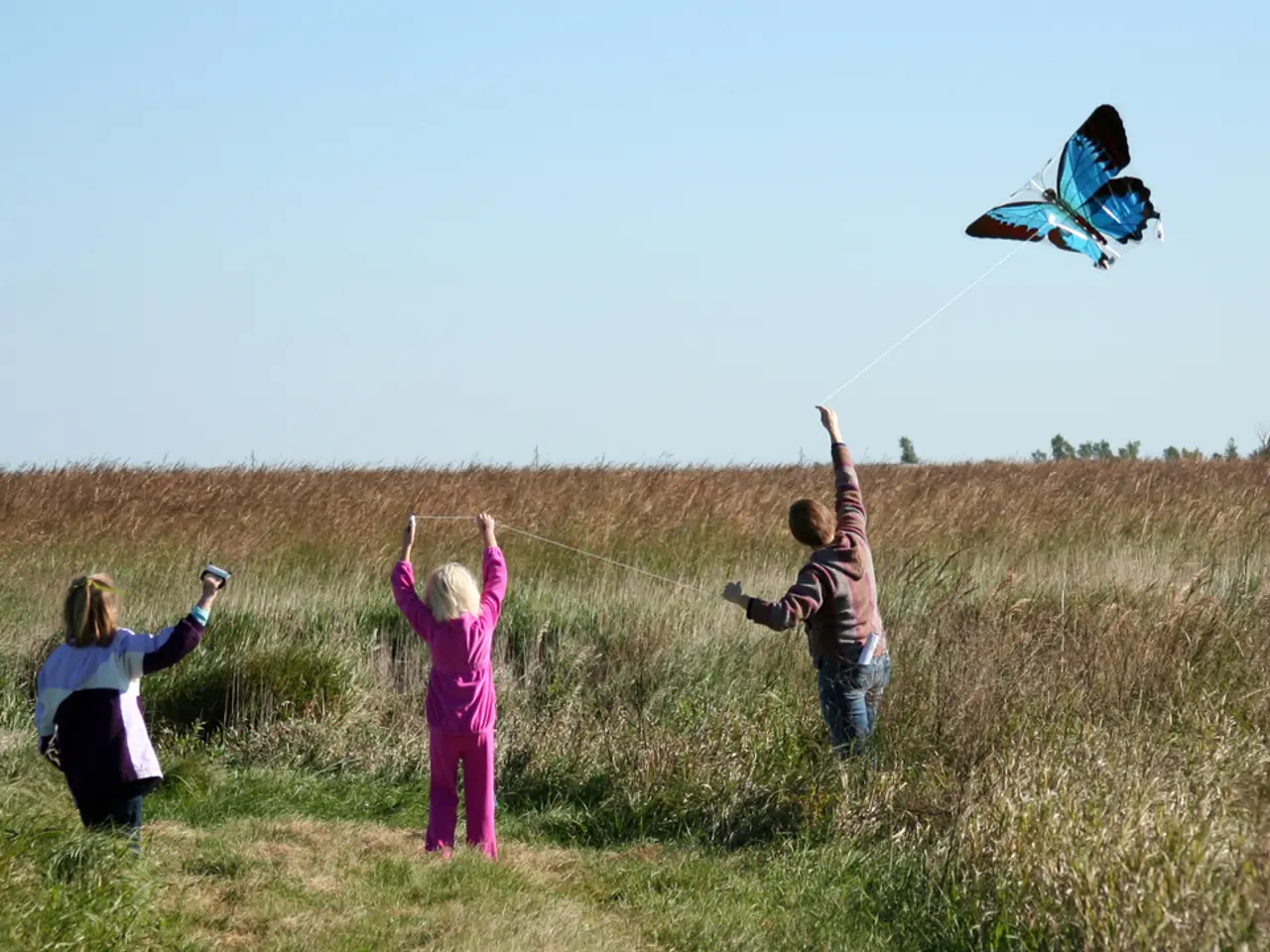 St. Peter's Order officially concludes its association with Dragonfest event.