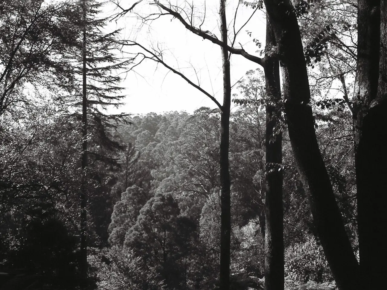 Business Tree Planting: A Profitable Venture Yielding Rewards