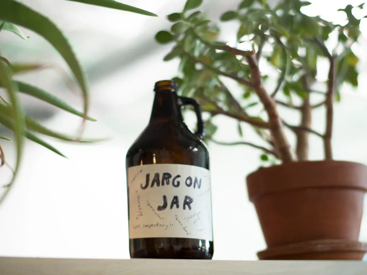 Enhance Your Mood with Suitable Indoor Plants