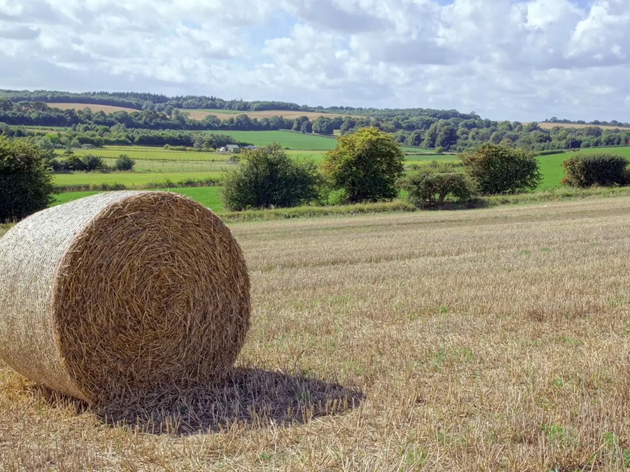 optimizing topsoil usage in your garden: discover the top 4 methods