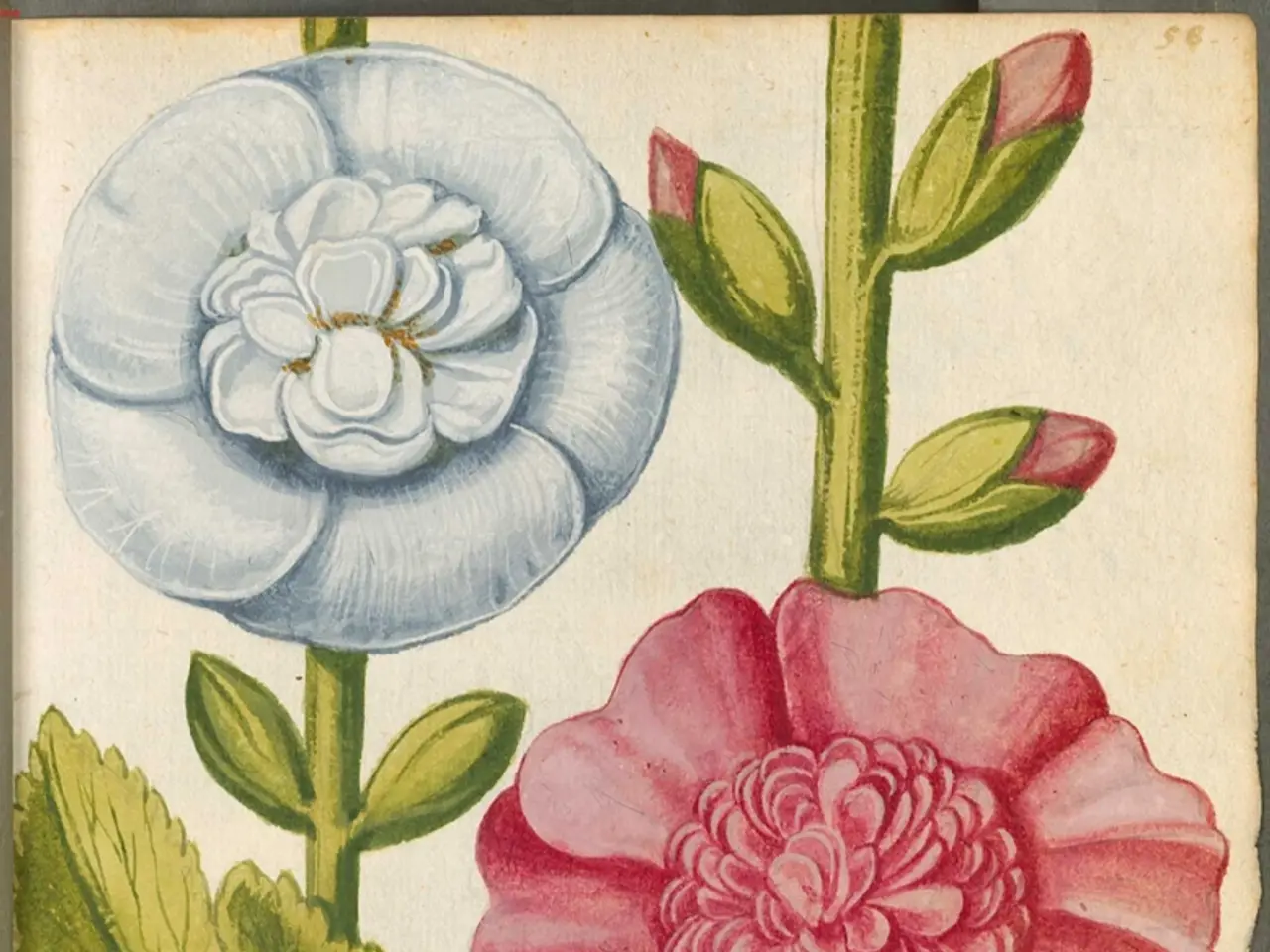 "Graham & Brown's chosen color of the year adds a captivating autumnal tint to any room"