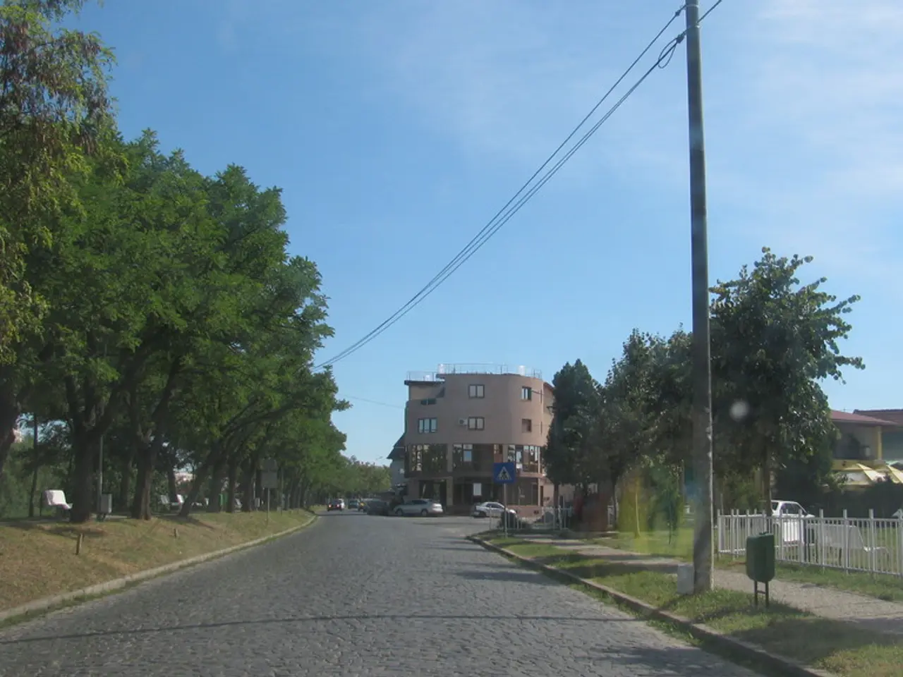 Automotive Enthusiasts Gathered at Fieldays 2025: Must-sees for Car Lovers