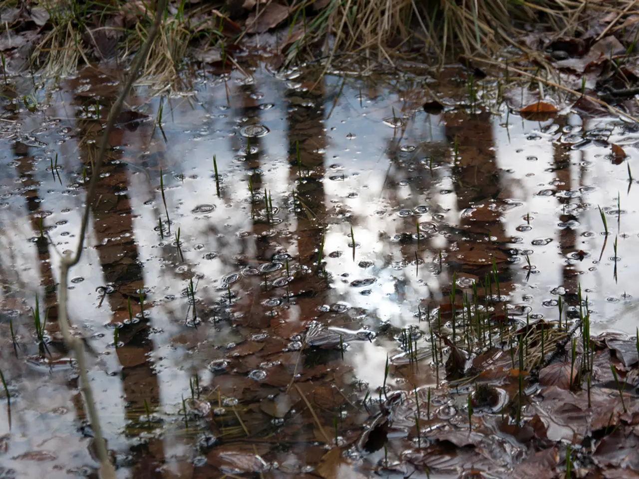 Duration of Life Span for Hot Water Systems: When to Consider Replacement?