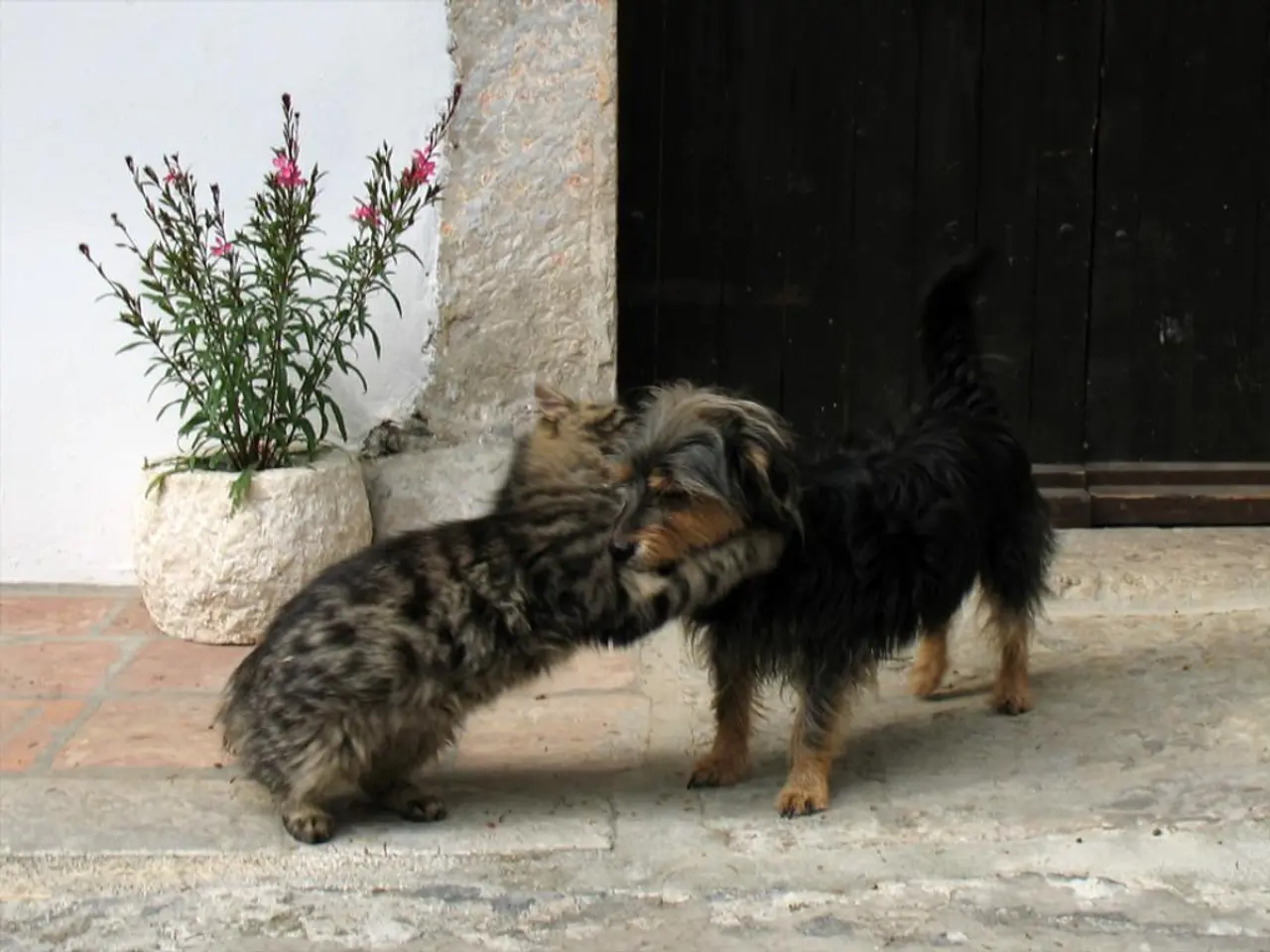 Refuge or Final Destination in the Farthest Reaches