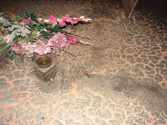 Terrarium Construction Handbook: Recommended Vegetation, Concepts, and Detailed Instructions