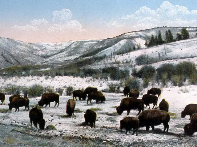 Available for Unpaid Photography Role in Secret Event Reserve