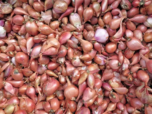 Factual data about onions: types, uses, nutrition, and health benefits.