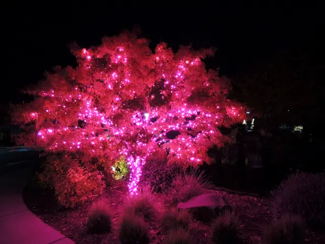 Guide to Creating an Awe-Inspiring Garden After Dusk (Hint: It's More Than Just Solar Spikes)