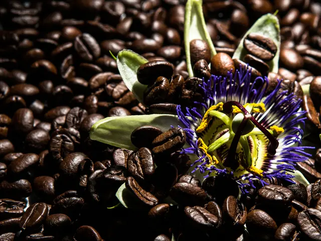 Revitalize acid-loving plants with your used coffee grounds: Enhance growth for 9 flowering...