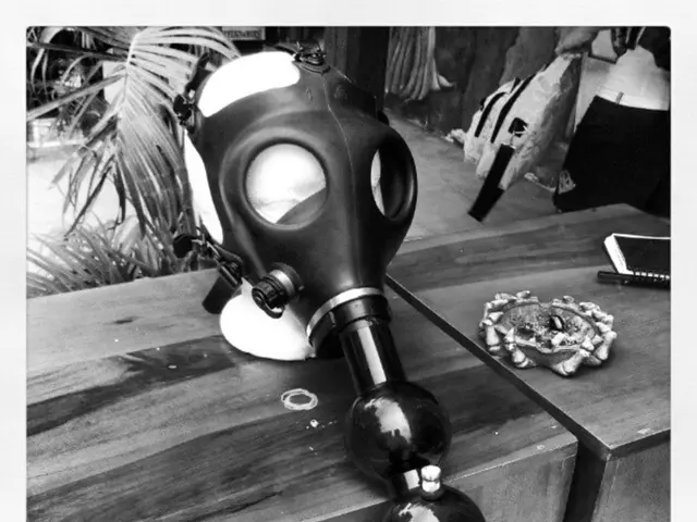 Creating a Terrarium Table: All You Need to Learn