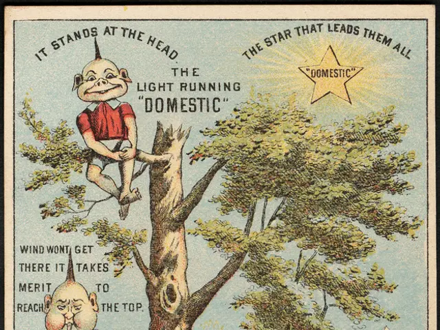 Simple DIY Instructions for a Wall-Mounted Plant Trellis