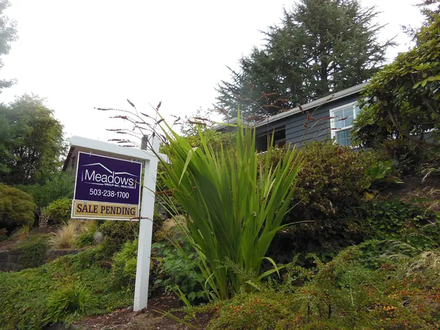 Enhancing Ambiance: The Impact of Expert Landscaping on Business Premises