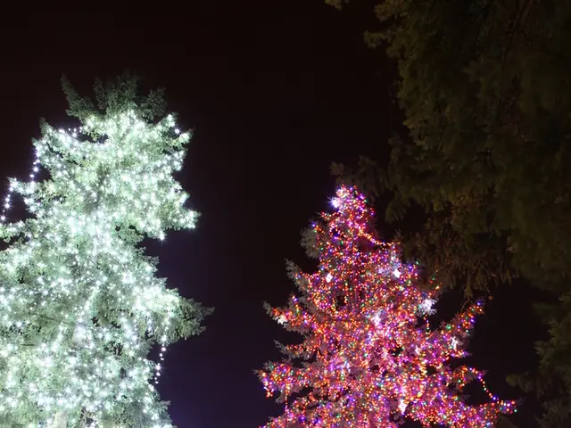 Proper Method for External Tree Illumination - Proper Techniques for Wrapping a Tree for a Stunning...