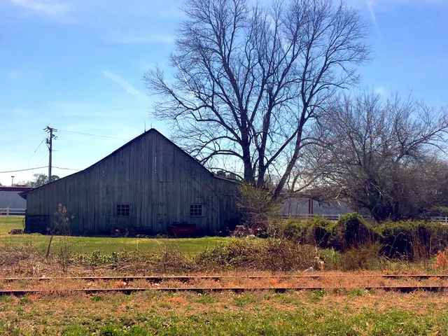 Live Online Seminar: Exploring Past Ecosystems - Ancient Wildlife Analysis