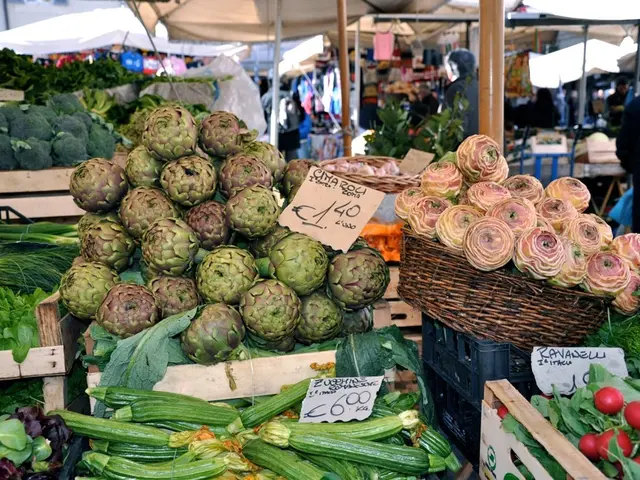 Celebrate International Picnic Day with Earth-friendly Strategies: A Harmonious Approach for...