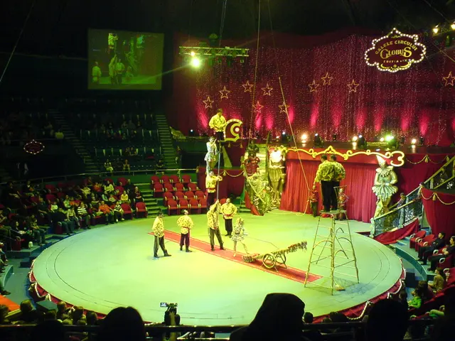 Celebratory event at Kita Rudolf-Groth Park Marking Circus Anniversary