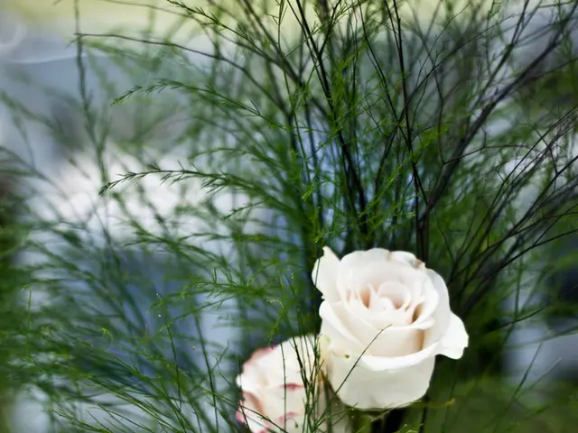 Top 29 Impressive Do-It-Yourself Wedding Bouquets for a Memorable Day