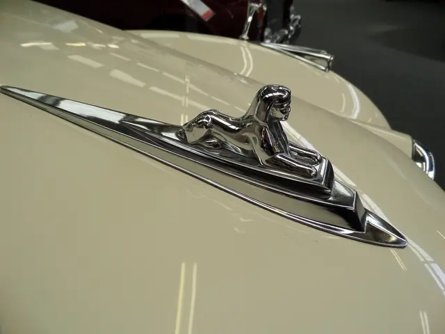 Reinforced Sustainability and Diversity & Inclusion Structure on Our Platform, Enhancing Skills in...