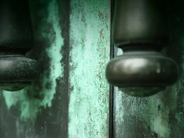 Anticipating the Experience: Insights on Engaging Affordable Emergency Locksmith Professionals