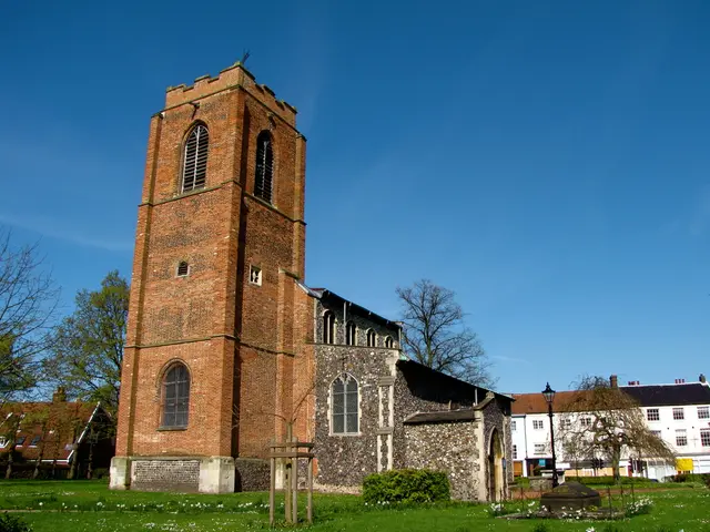 Trees for Wrocław: Collaborative Project Led by Wielki Mały Świat Association and Smith & Nephew