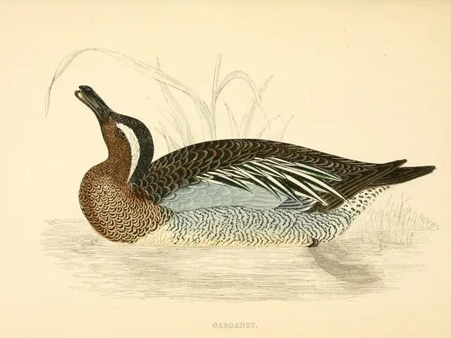 Craft Bird Figurines with Play-Doh