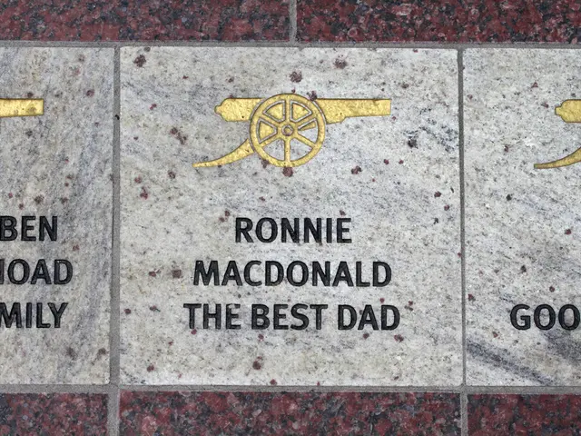 Reinterpreted account: Histories, whether national or not, often come across as biased narratives -...