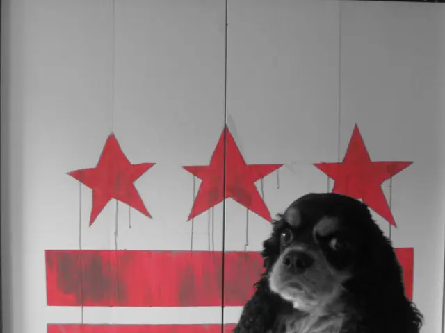 International dog photography competition winners for 2024 announced, displaying remarkable...