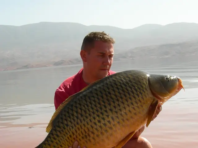 Time-honored Junction Beat along the River Tweed, a renowned location, is being offered for...