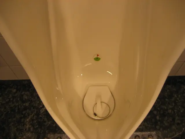 Unraveling the Mystery: How to Remove Stubborn Urine Stains from Training Toilets Effortlessly...