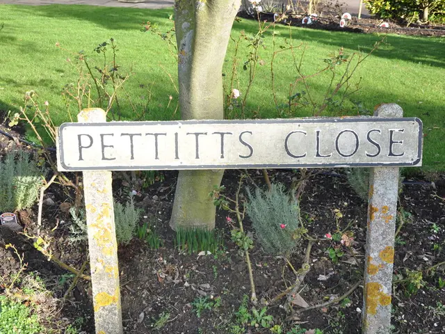 Guide for Cultivating a Cherry Tree: Detailed Instructions