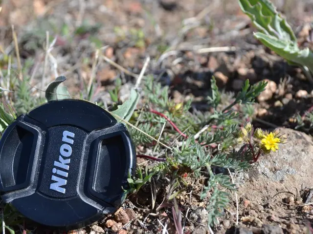 Preparing Your Lawn for Spring: Guidelines for a Healthy Yard during Warmer Seasons