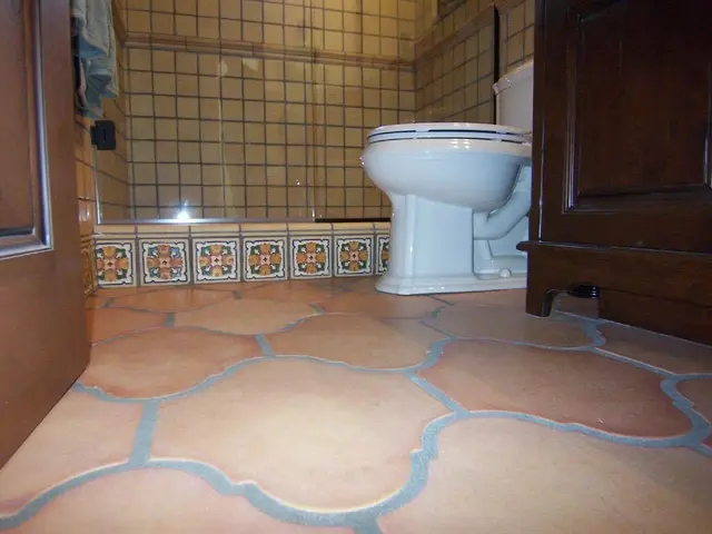 Elimination of Hardened Urine Spots from Toilet: Strategies for Effective Stain Removal