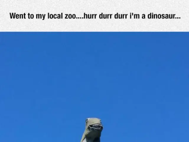 A Cryptic Connection: Is the Humble Blue Jay a Divine Symbol, as Some Postulate?