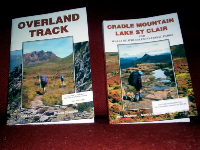 Discovering Sensory Delights: 5 Nature Walk Strategies to Ignite Awe and Curiosity