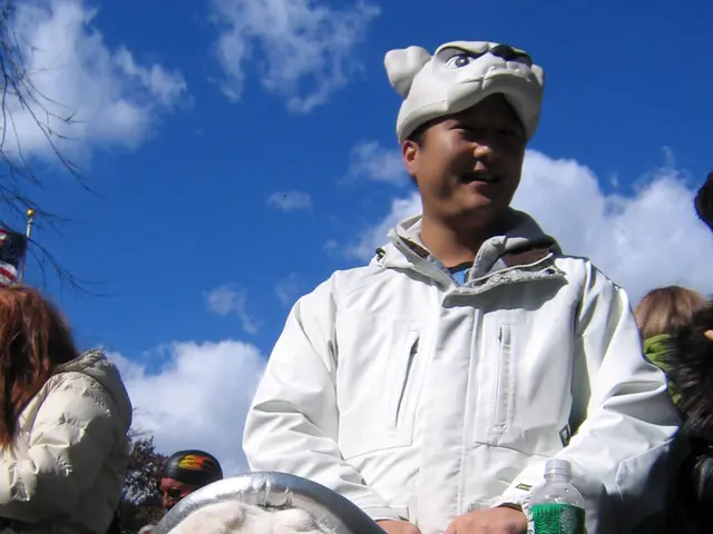 Veteran's Guide to Journeying with Pets: Essential Advice for a Stress-Free Holiday