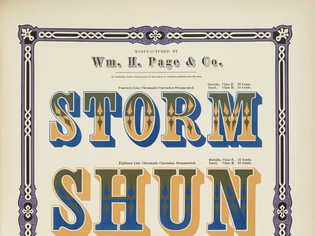 Choosing Between Graphic Design and Illustration: Find Out What Suits You Best