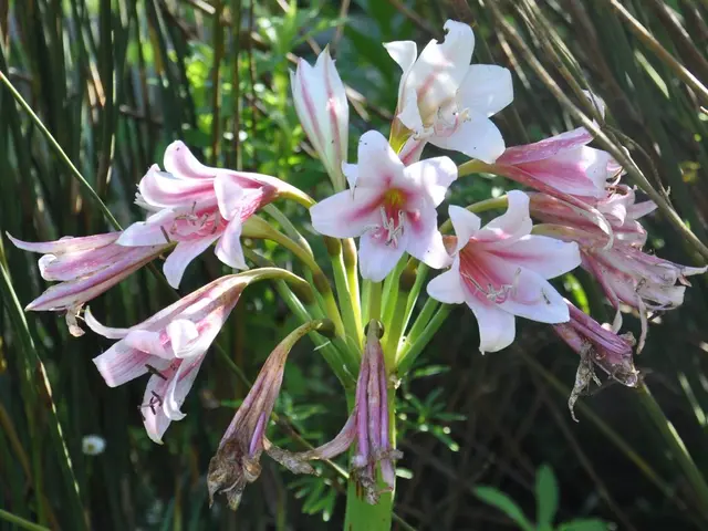 Expert Opinions on the Factors that Trigger Our Attraction Towards Specific Colors