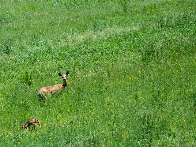 Immersive attraction Visiotopia debuts at Green Zoo Wuppertal, offering a 360-degree journey