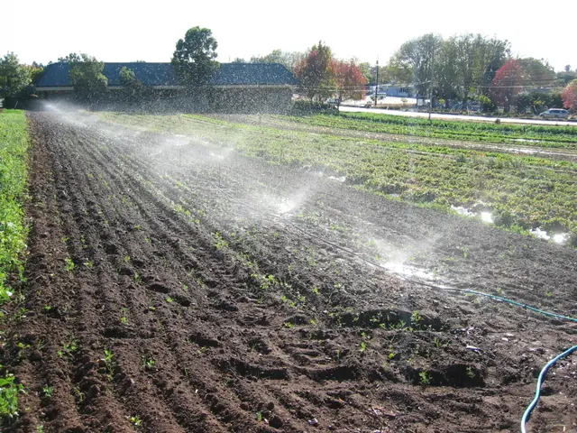 Top 15 Efficient Water-Saving Irrigation Systems for a Vibrant and Eco-Friendly Garden