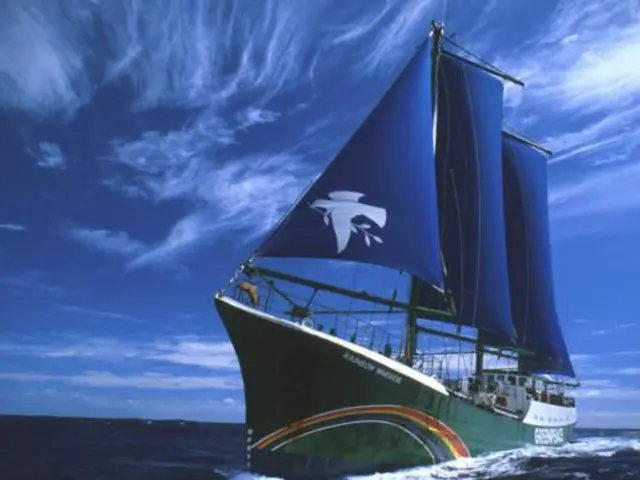 Celebratory event featuring blue lighting and chunky pots held at the harbour