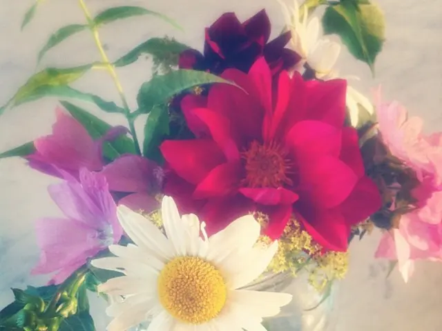 Essential Information for Orchid Soil Cultivation