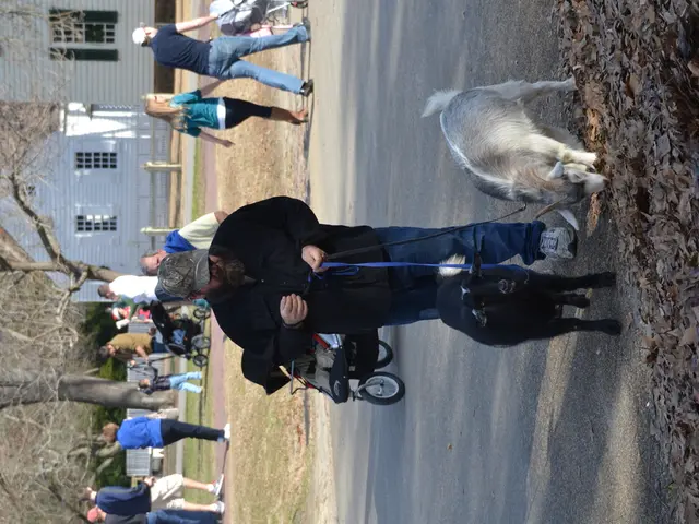 Dog-friendly areas lacking in Rödermark causes controversy over the proposed initiative