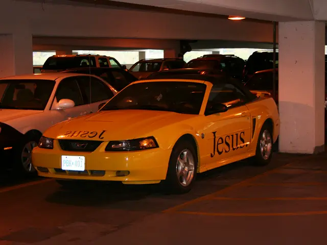 Improvement of Temperature in Wall Park - Well-Intended Plan in an Inappropriate Location