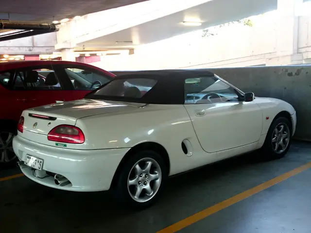 "The Importance of Geographical Positioning"